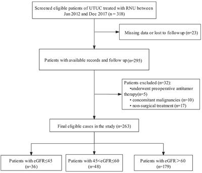 Reduced Preoperative Glomerular Filtration Rate Is Associated With Adverse Postoperative Oncological Prognosis in Patients Undergoing Radical Nephroureterectomy for Upper Tract Urothelial Carcinoma: A Retrospective Cohort Study